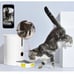 Feeder cat dog food wifi app machine pet food