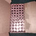 2022 D Box of lincoln cents 50 rolls
