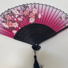 Chinese fan