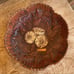 KNOTTS BERRY FARM Vtg 1951 Carved Wood Look Bowl Multi Products Inc Very Rare!