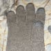 COACH Logo C Tan Beige Shimmer Wool Touch Gloves