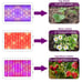 1000W LED Grow Light for Indoor Plants Full Spectrum Upgrade Dual Switch