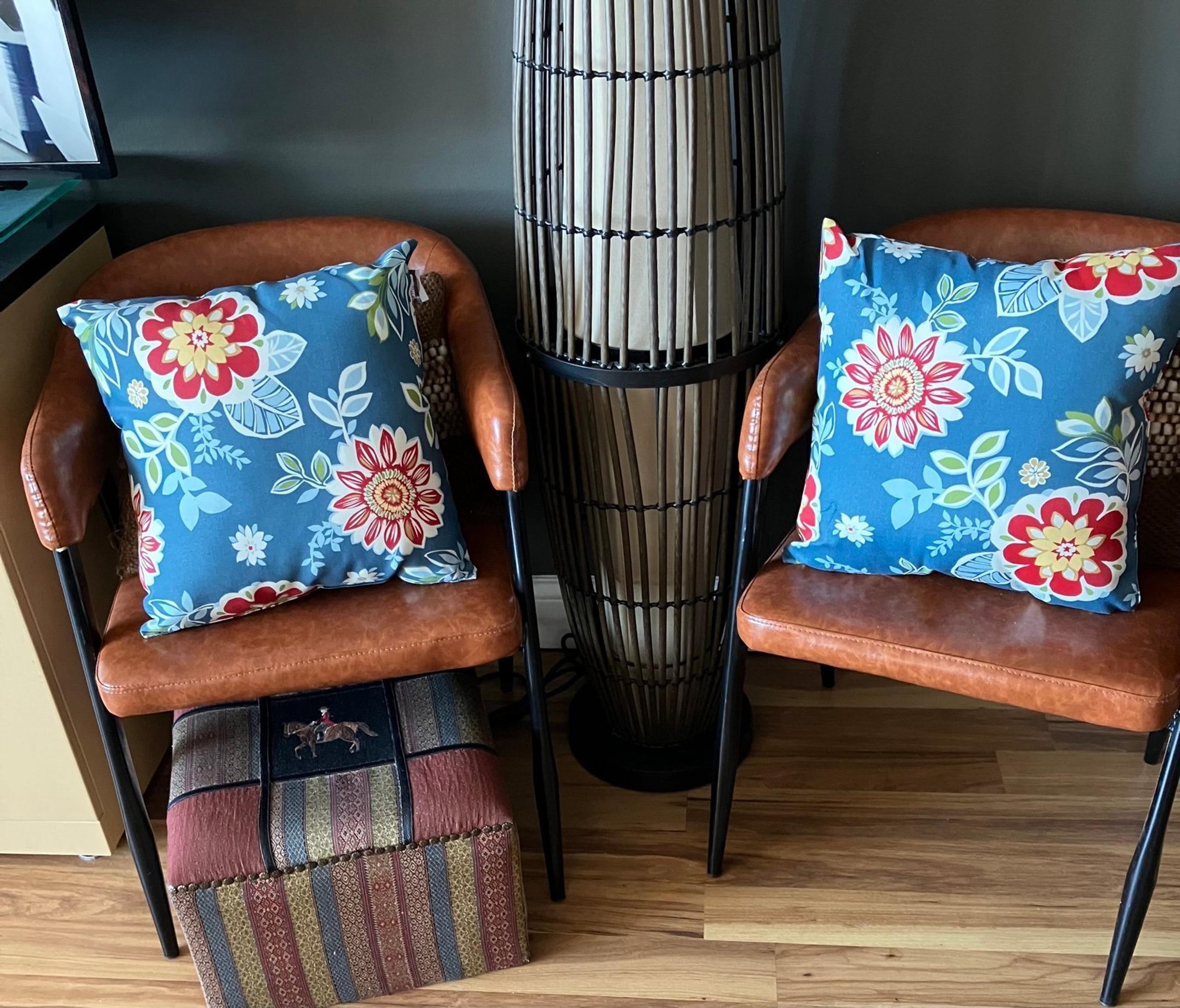 MARTHA STEWART LIVING SET OF TWO DECORATIVE PILLOWS - VIBRANT