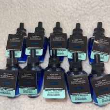 Bath and Body Works Wallflowers