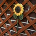 Metal Sunflower Home Hook