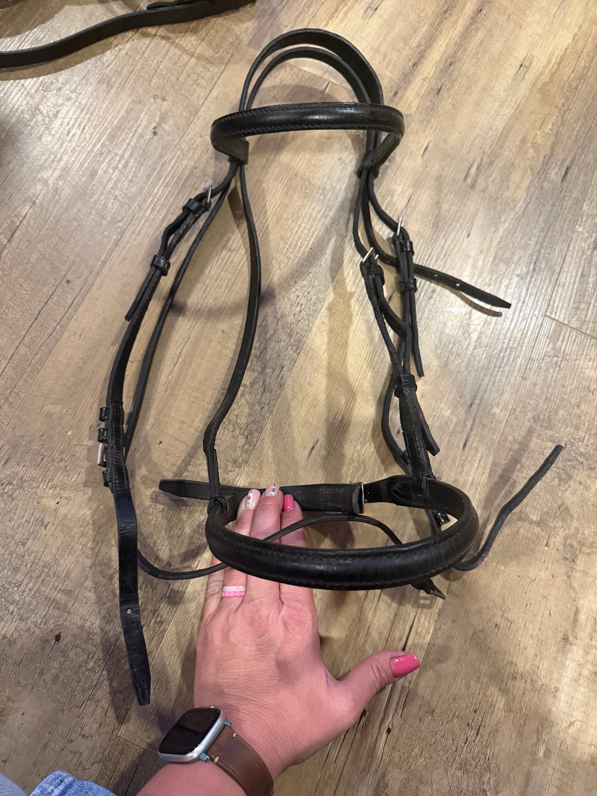Full sized black bridle