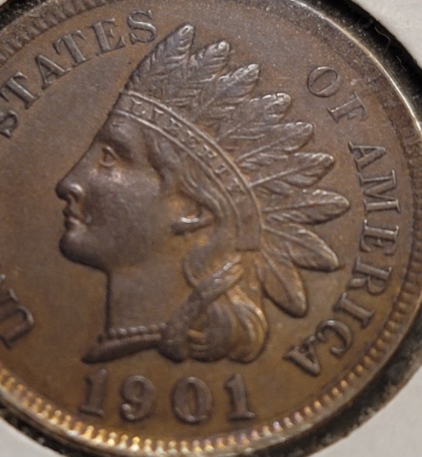 1901 Indian Head Cent #848