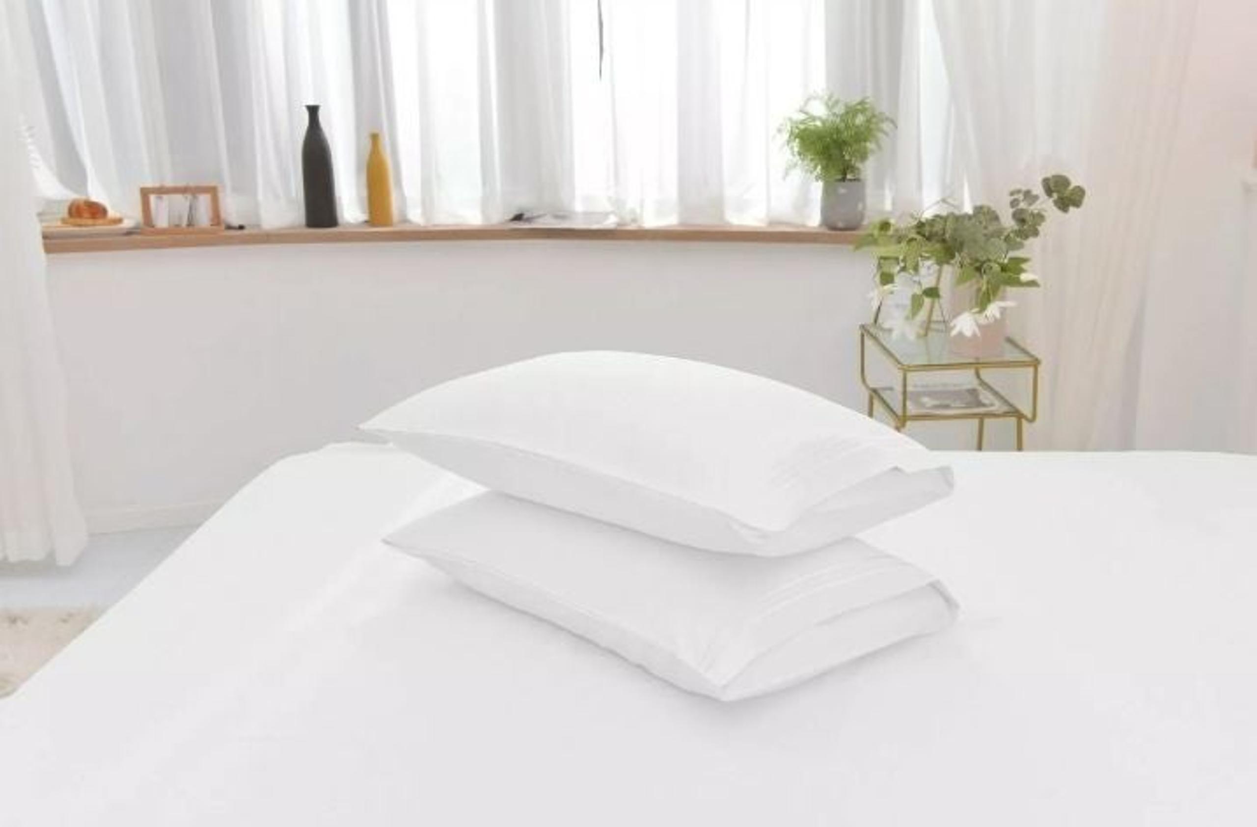 Cool Bamboo Pillow Cases Queen - white