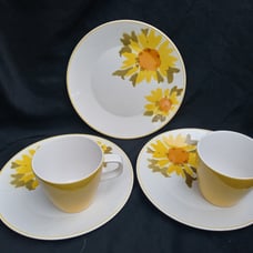Mikasa Cera Stone Floral Luncheon 7.5 Plates Two Mugs Dolly Pattern