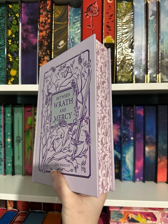 Between Wrath And Mercy (Bookish Box)