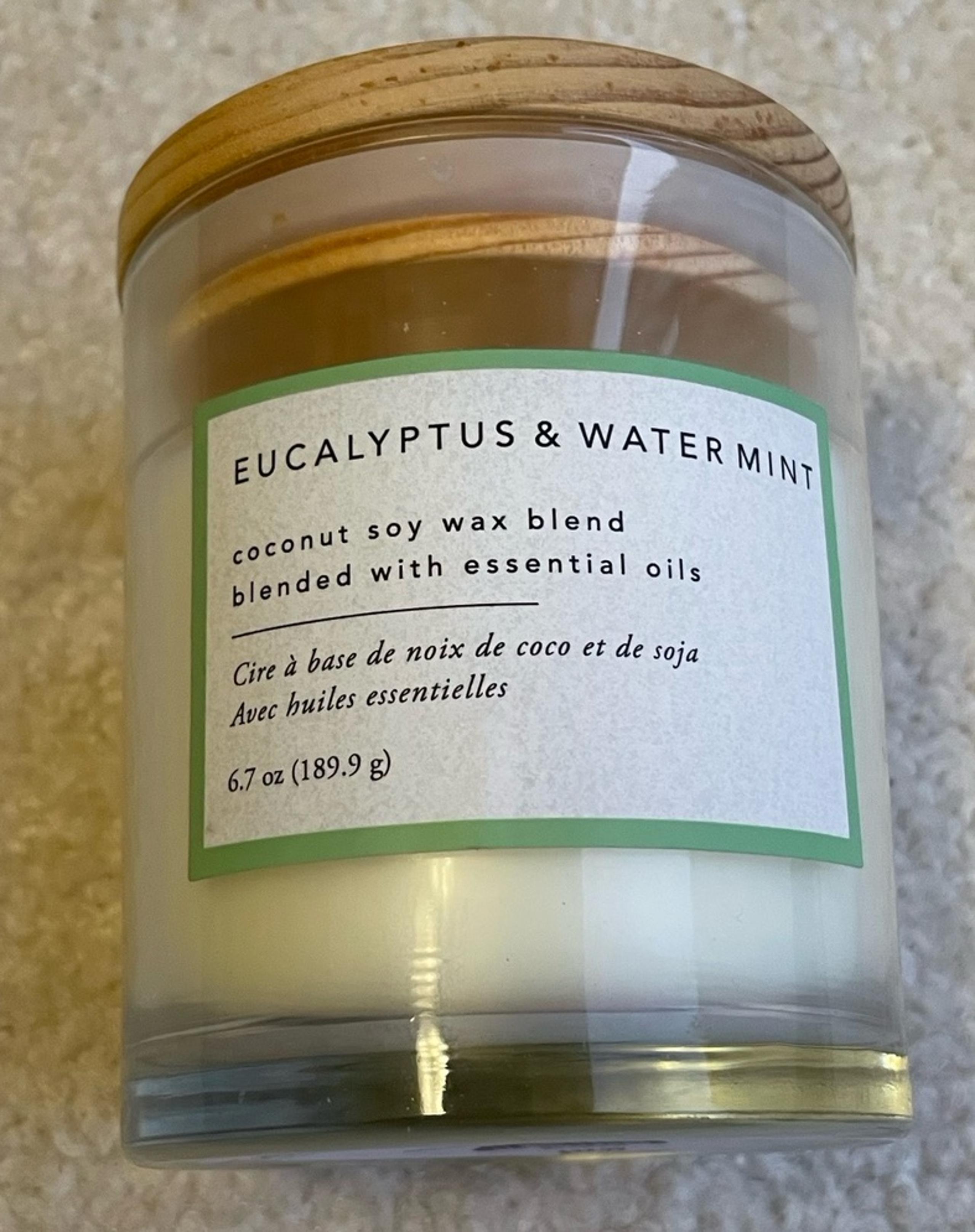 Eucalyptus Water Mint Coconut Soy Wax Blend Candle 6.7oz - Pier 1 Imports