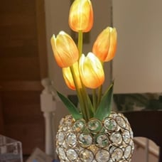 3 Color Crystal Flower Bedside Lamps Infinitely Dimming with USB Charge