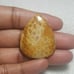 Fossil Coral Natural Gemstone Cabochon