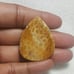 Fossil Coral Natural Gemstone Cabochon