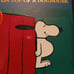 Peanuts Gang Books