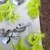 6 Topwater Fishing Lures lot