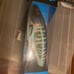 Nomad Madmac 160 Spanish Mackerel High Speed Whoo Tuna Trolling Lure