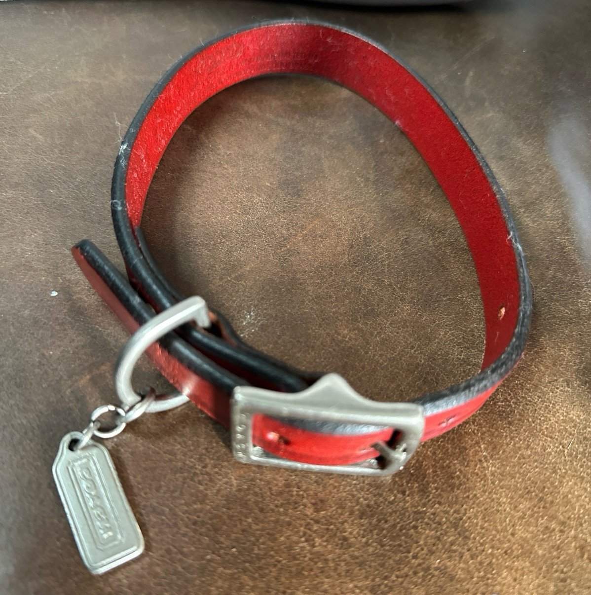 COACH leather dog collar