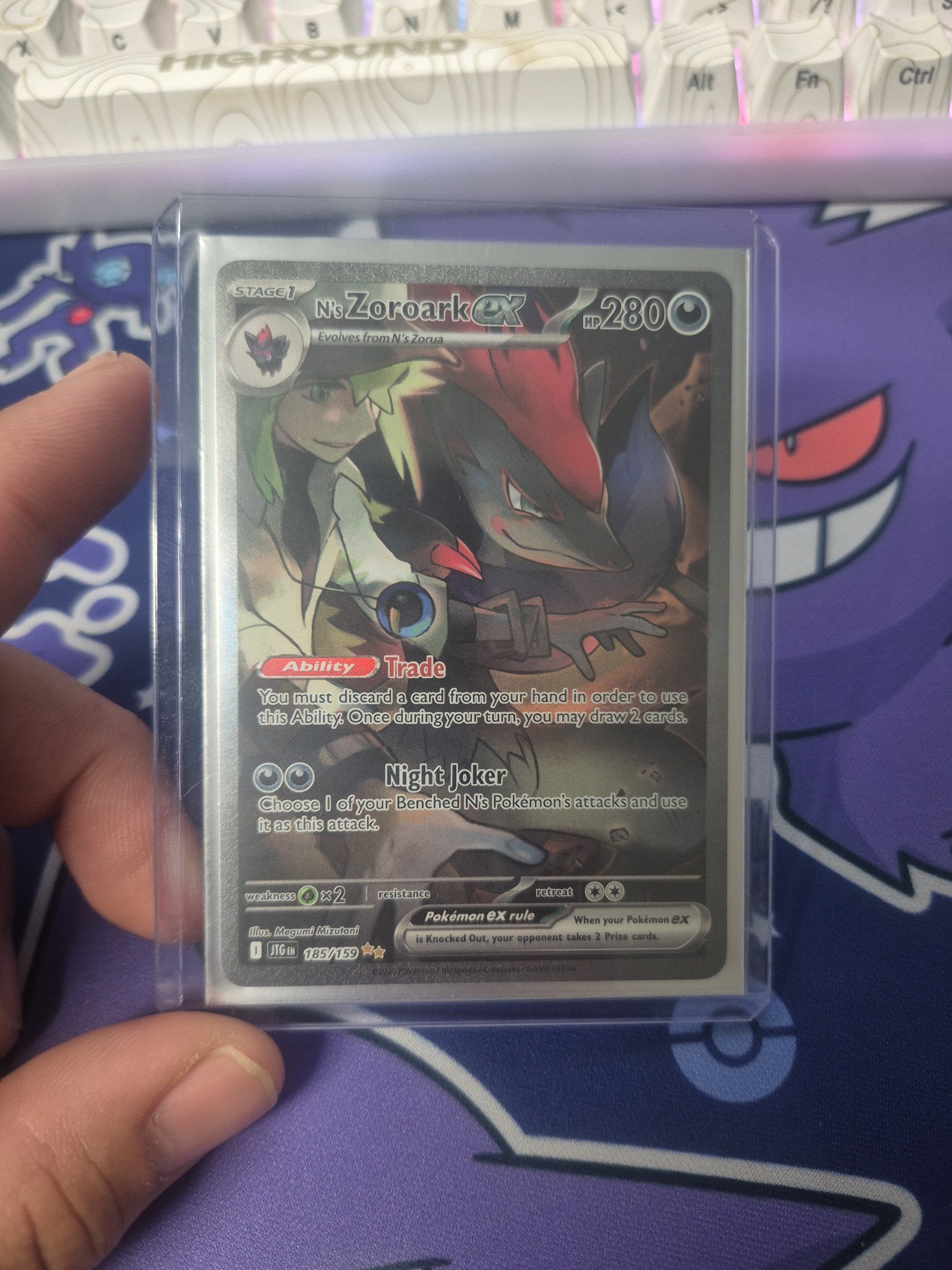 N's Zoroark SIR (Journey Together)