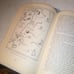 Bible stories from Genesis to Revelations...not actually a Bible. Use picture