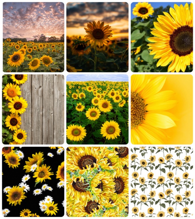 Sunflowers Micro Collection Samples