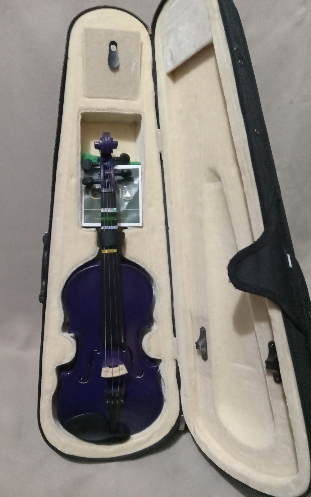 Cecilio Purple Violin