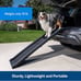Petsafe dog ramp