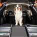 Petsafe dog ramp