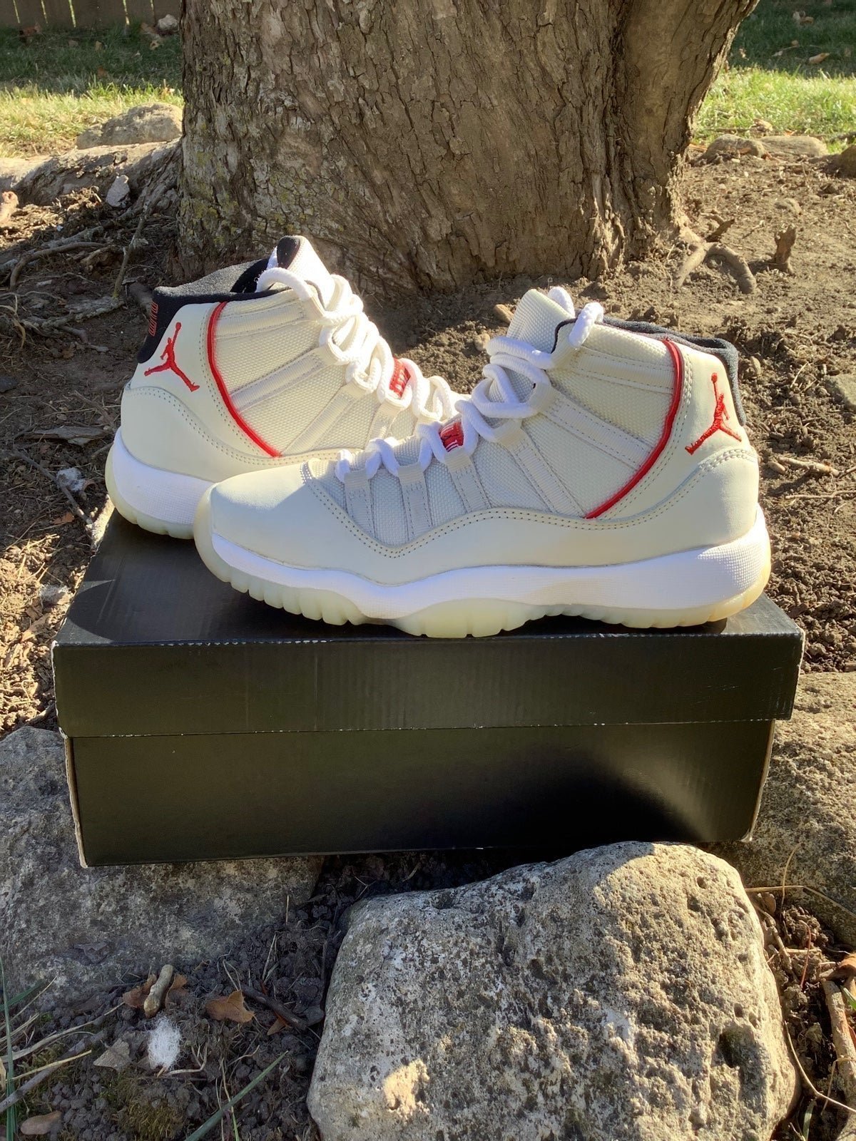 Air Jordan 11 Platinum Tint Kids 4y