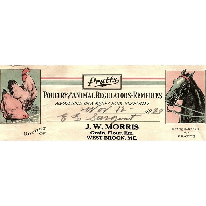 1920 WESTBROOK MAINE PRATTS POULTRY AND ANIMAL REMEDIES BILLHEAD INVOICE Z1159