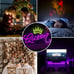 Queen Neon Signs for Wall Decor, Crown Neon Light Sign Decor, Queen Led Neon