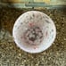 Anthropologie valentines icon juice glass *lips*