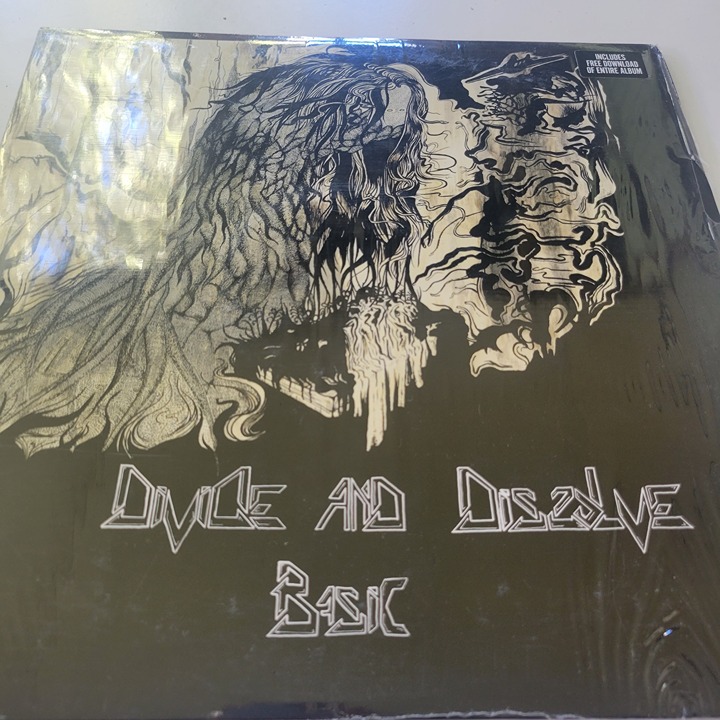 Divide and Dissolve - Basic - Vinyl LP