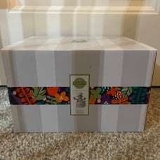 NIB-Scentsy Sparkling Snowman Warmer