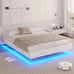 Floating Bed Frame Queen Size with LED Lights, Low Profile Platform Bed