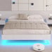 Floating Bed Frame Queen Size with LED Lights, Low Profile Platform Bed