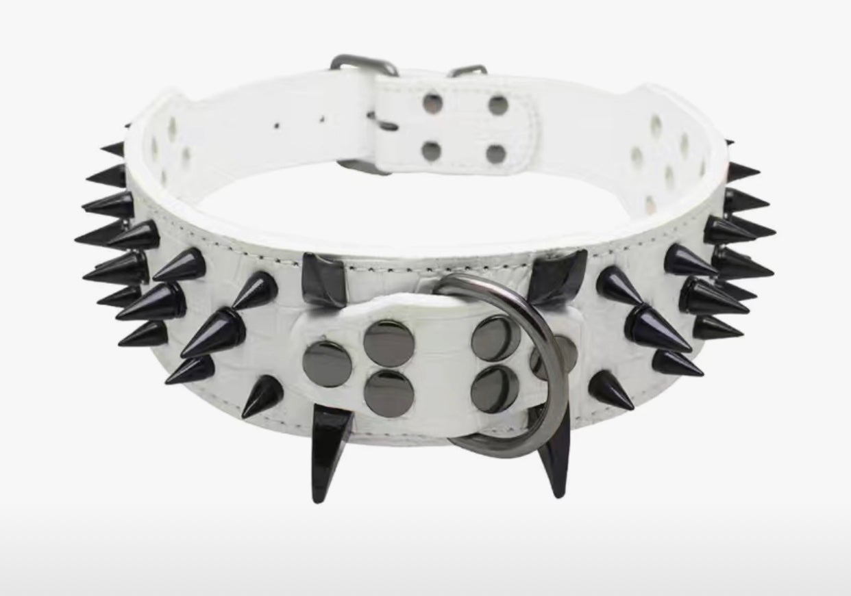 Pet Leather Studded Adjustable Collar, Ex-Small