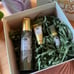 Origins Youth Fantastic Plantscription Line-Smoothing & Rejuvenating Set