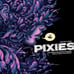 Pixies Chula Vista CA 2018 Gig Variant Purple Poster Print NC Winters