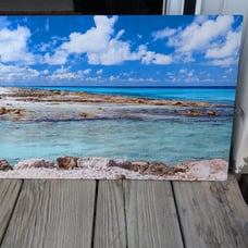 NWT Torri's Reef Metal Picture
