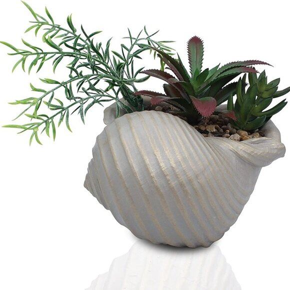 NEW Faux Succulents in Conch Sea Shell Home Decor,Coastal Beach Decorations