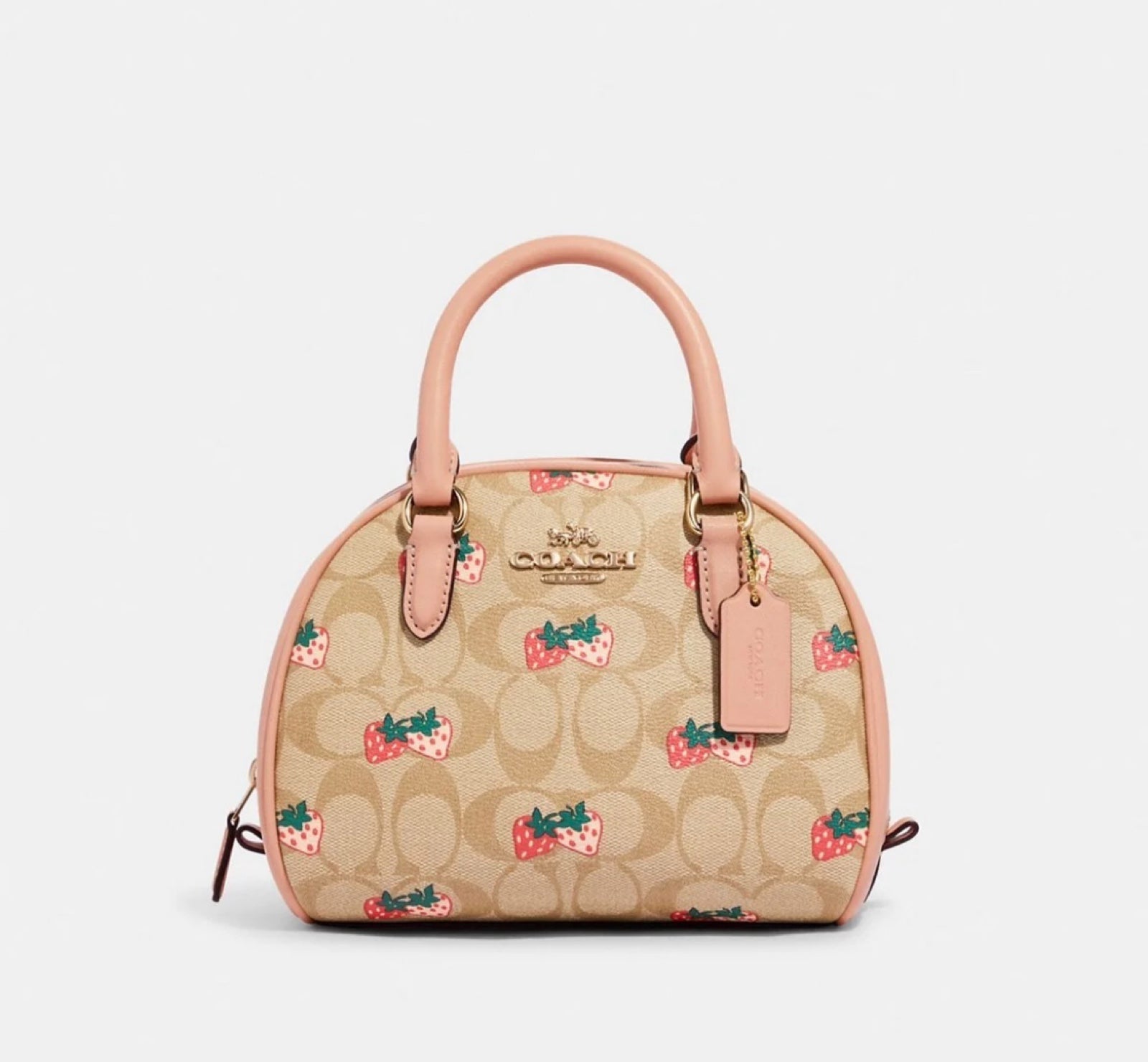 Coach Sydney Satchel In Signature Canvas With Strawberry Print