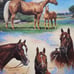 Legends Western Horseman Books 5 Volumes
