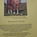 Legends Western Horseman Books 5 Volumes