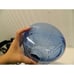 Grubcan Camping Bear Resistant Clear Blue Storage Container Thick Plastic