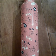 New 2023 Disney water bottle
