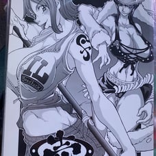 One piece doujin