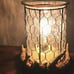 Scentsy Antler Warmer