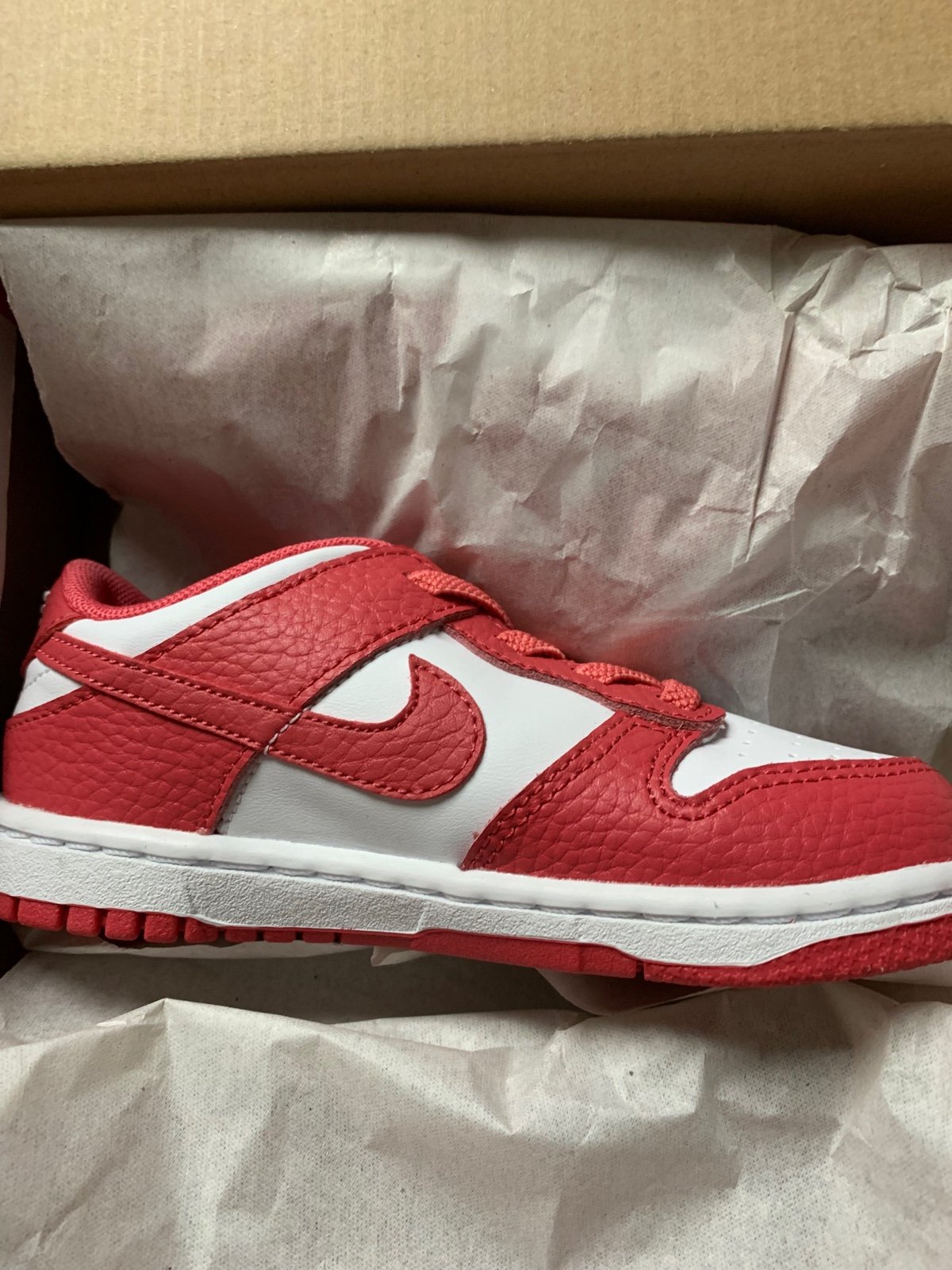 dunk low