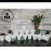 Mini Terra Cotta Clay Pots 2.5 inch 12p